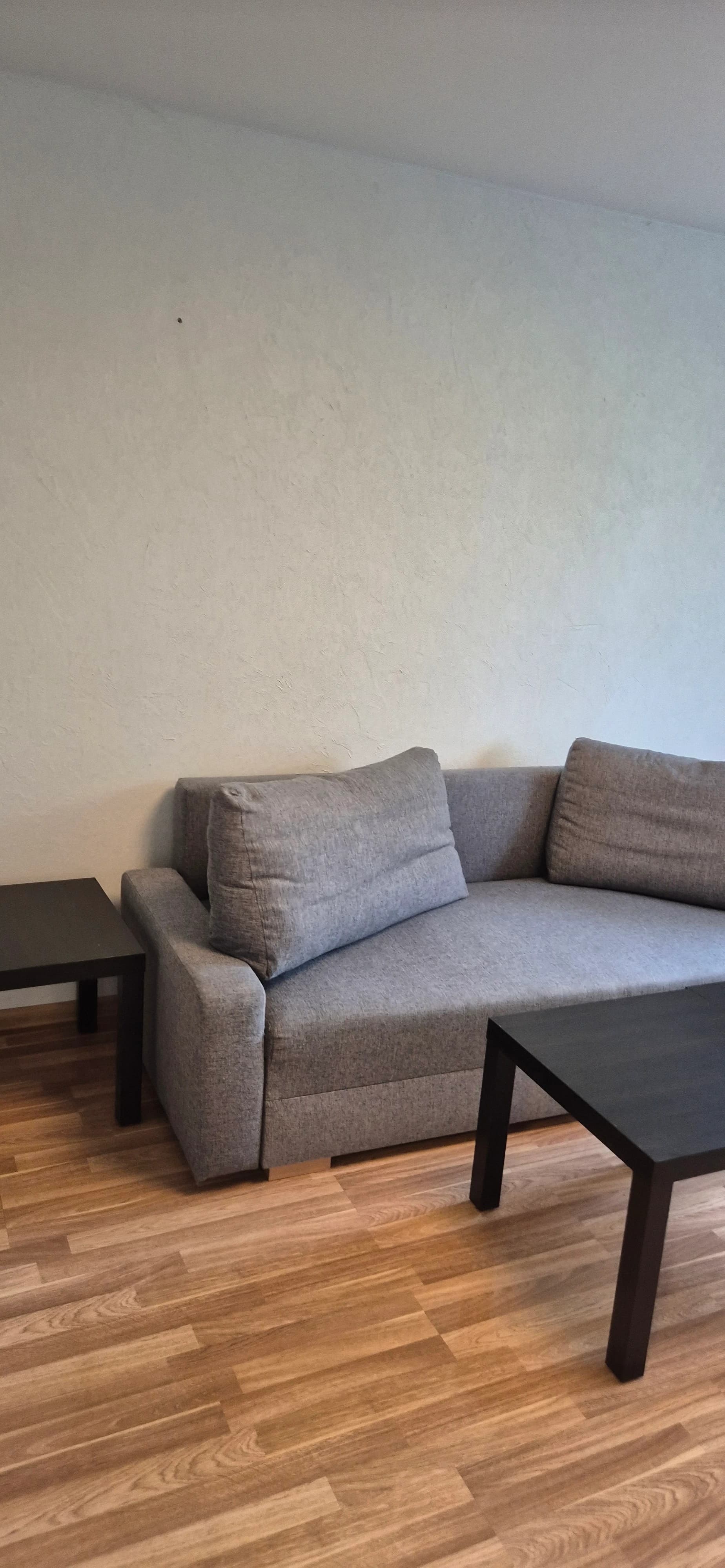 Deep apartment cleaning including windows