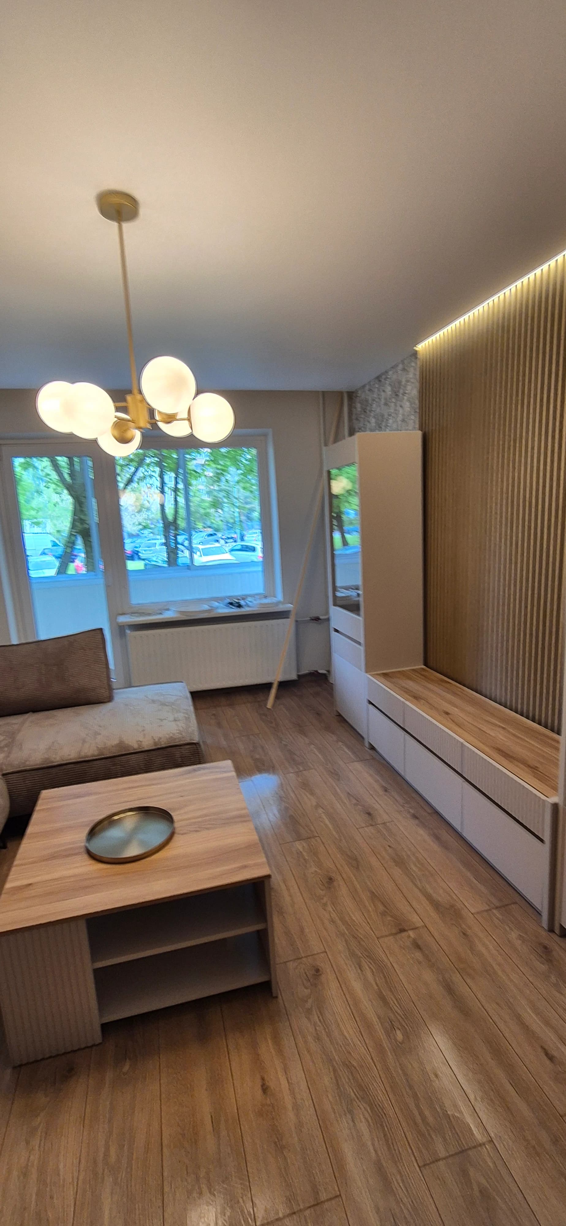 Apartment cleaning after renovation