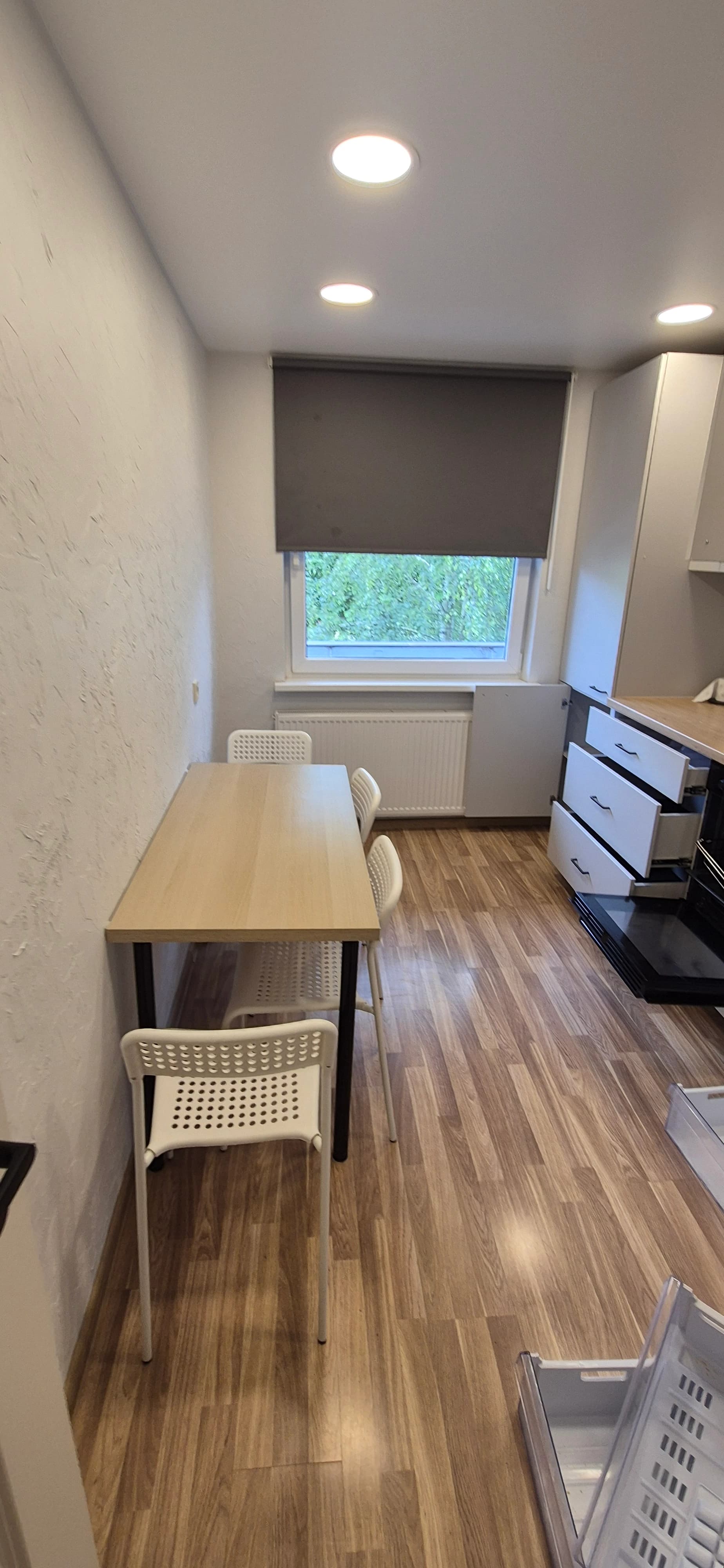 Deep apartment cleaning including windows