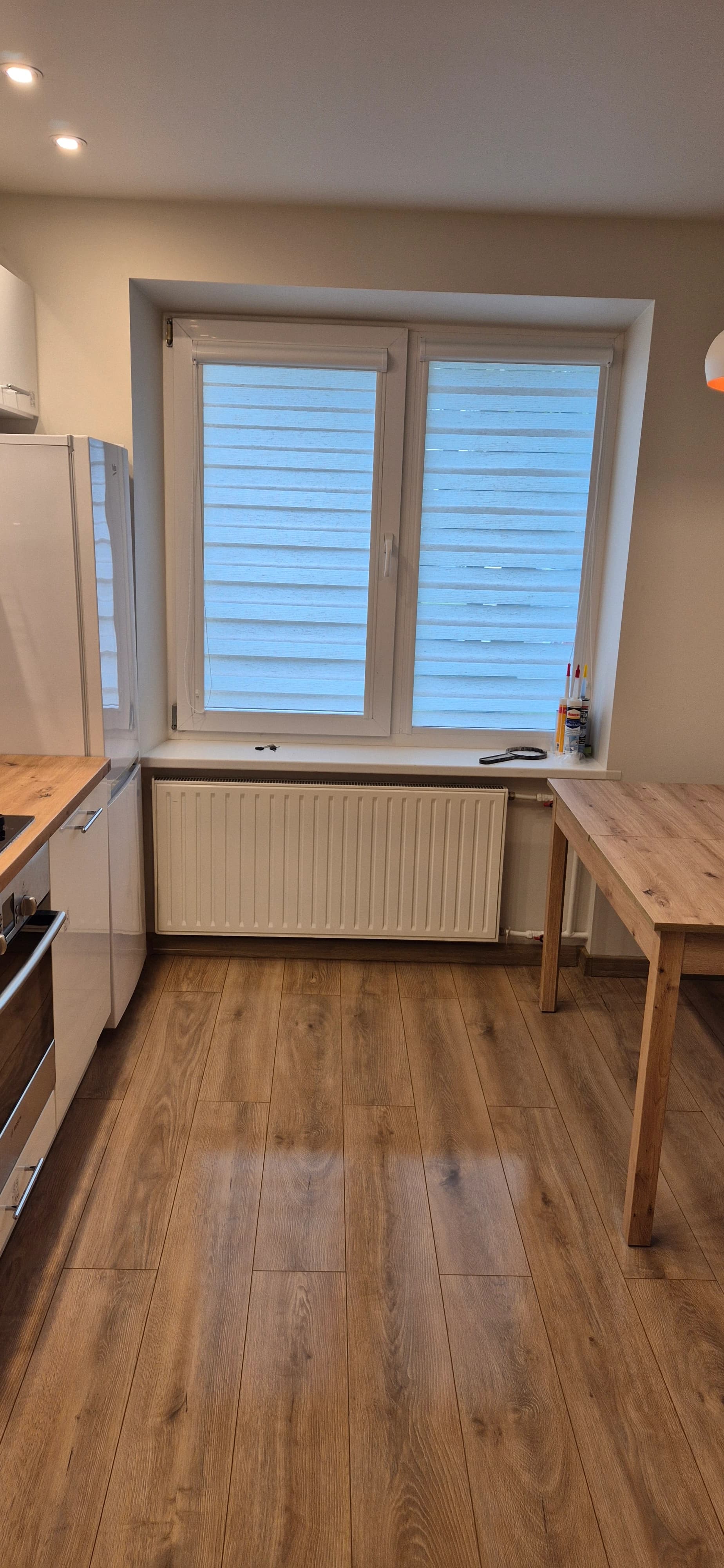 Apartment cleaning after renovation