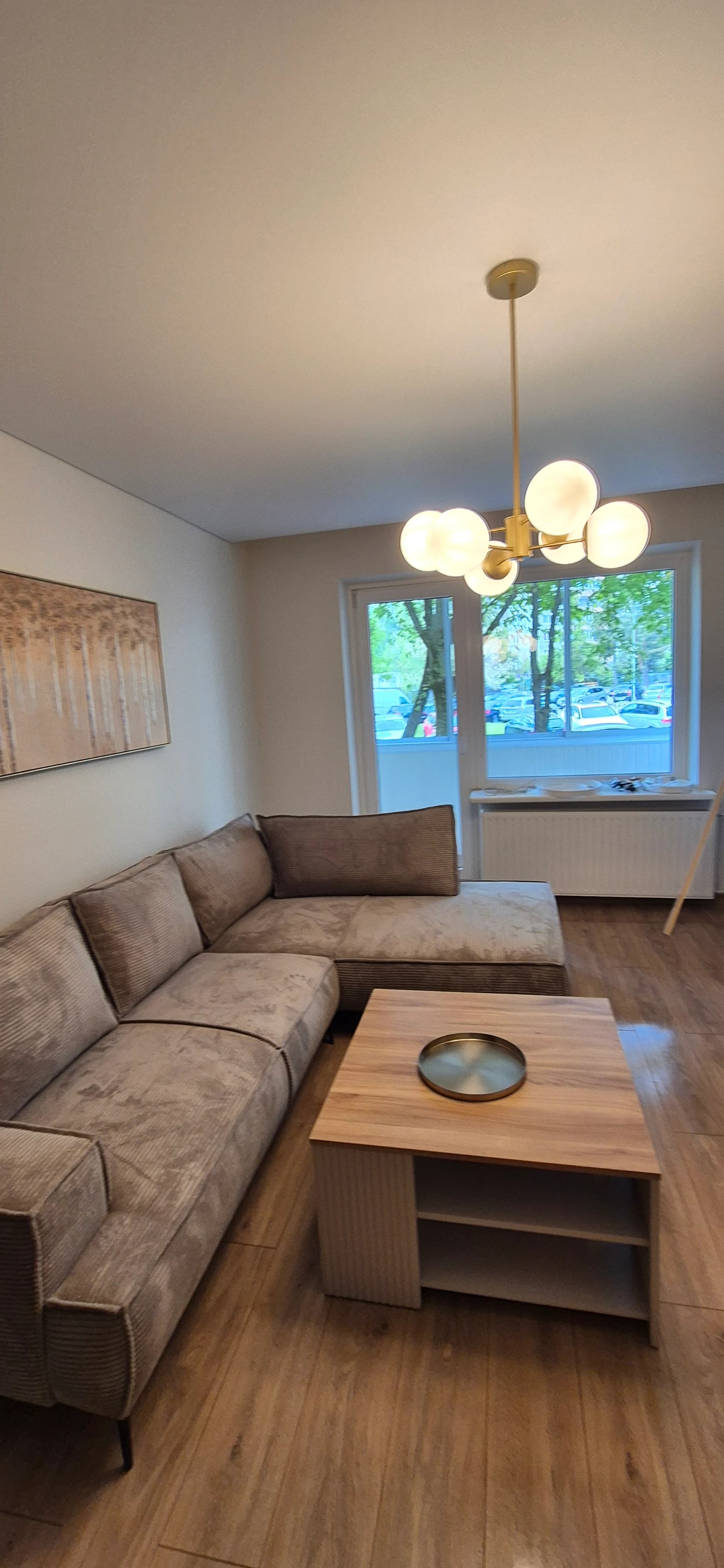 Apartment cleaning after renovation