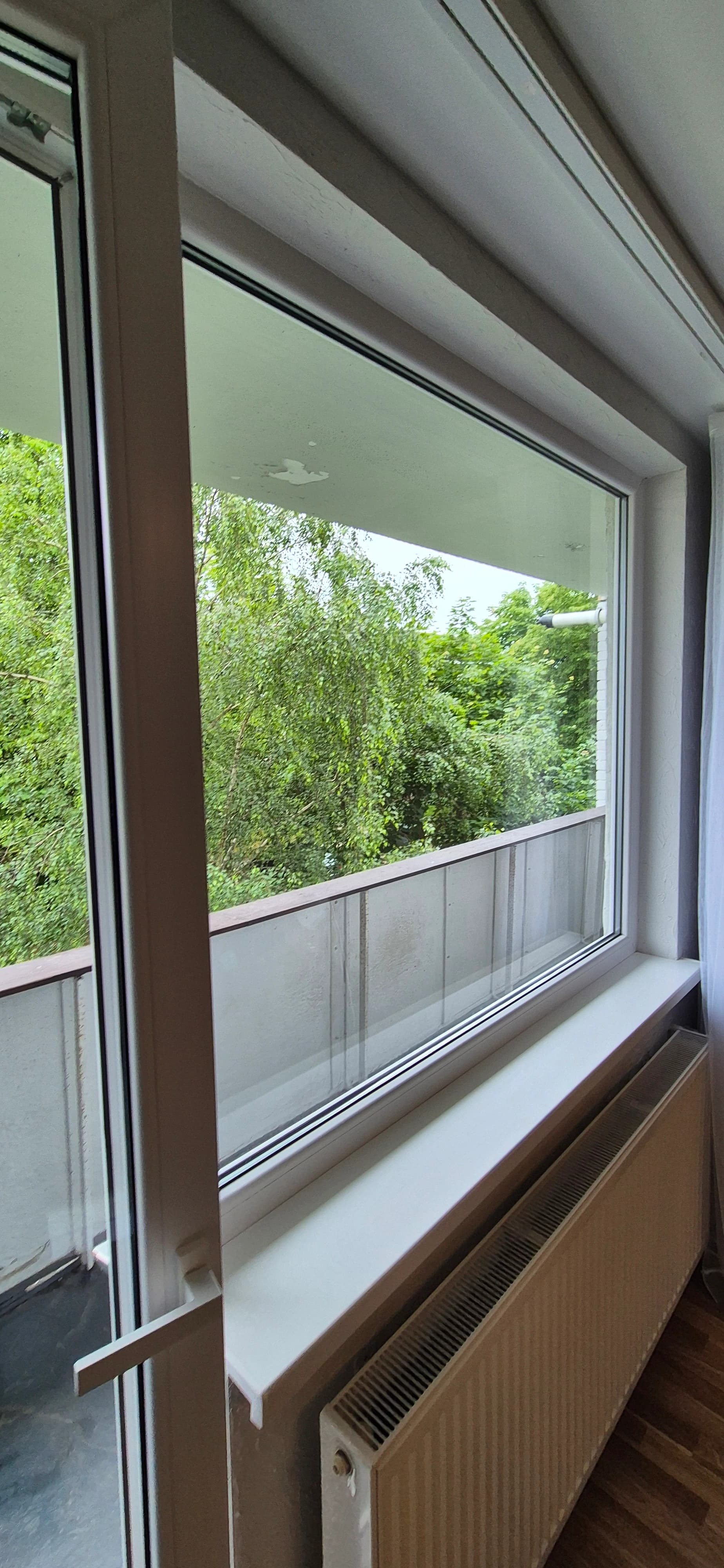 Deep apartment cleaning including windows