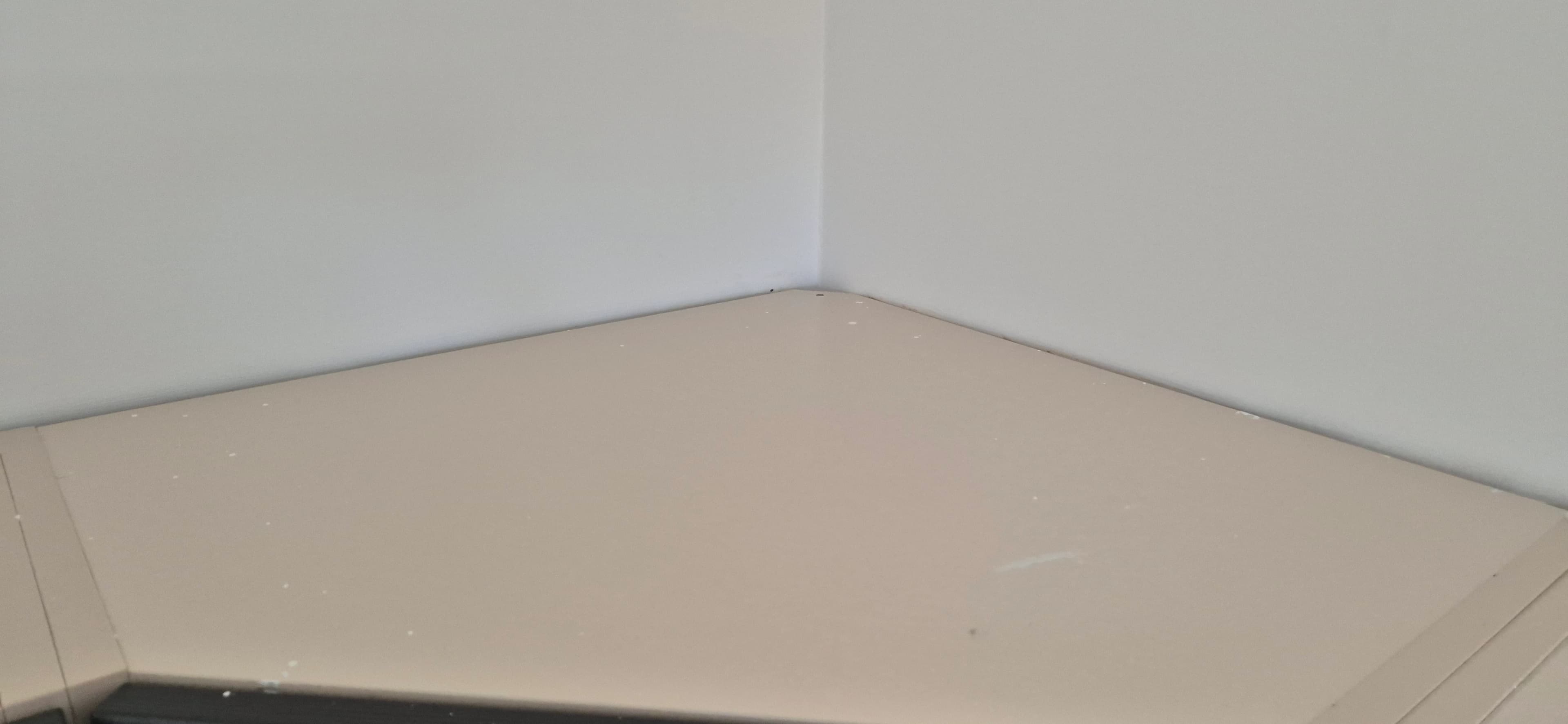 Move-out apartment cleaning