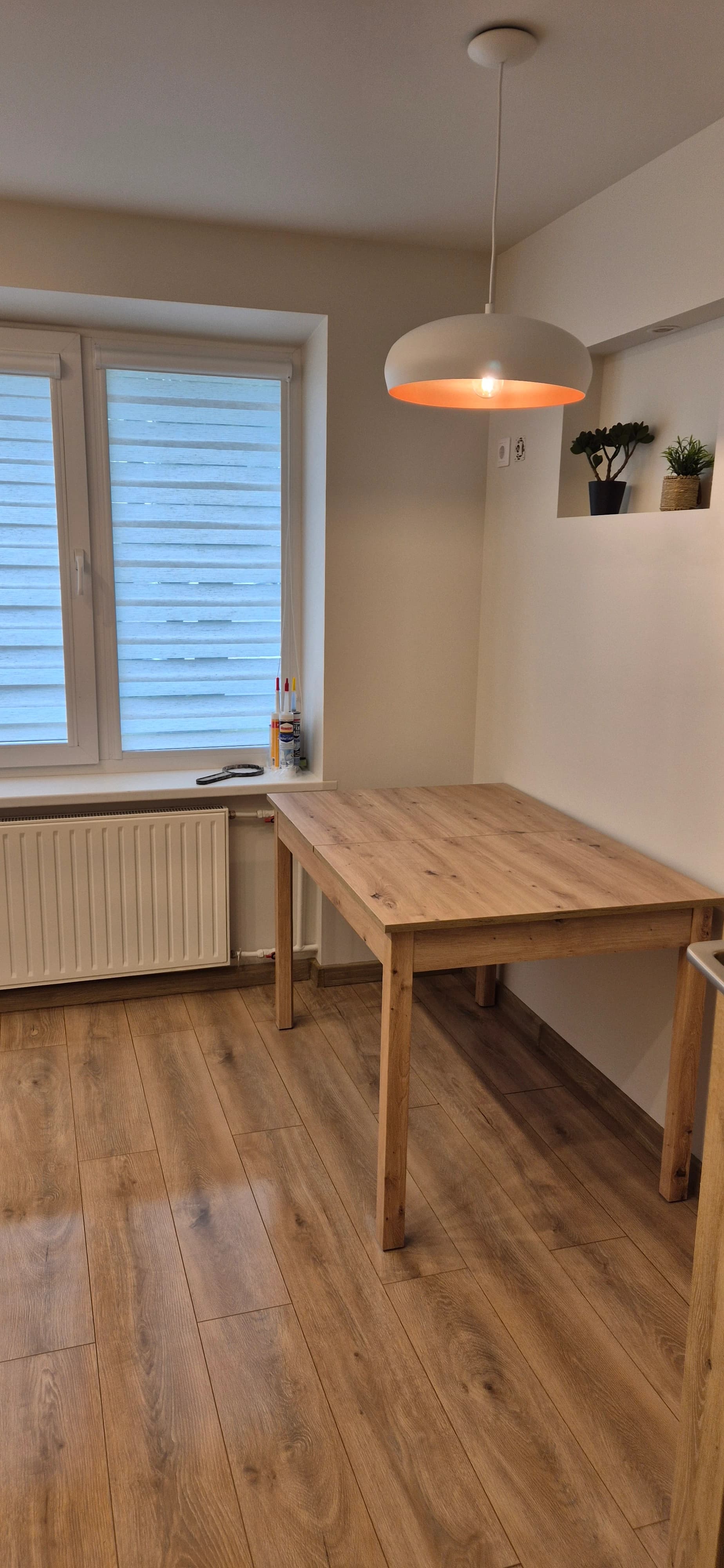 Apartment cleaning after renovation